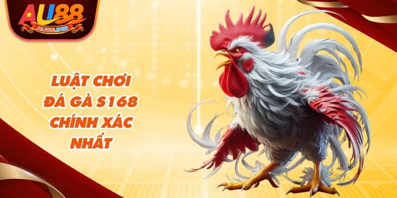 Luật chơi đá gà S168 chính xác nhất