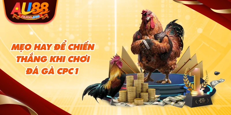 Mẹo hay để chiến thắng khi chơi đá gà cpc1 