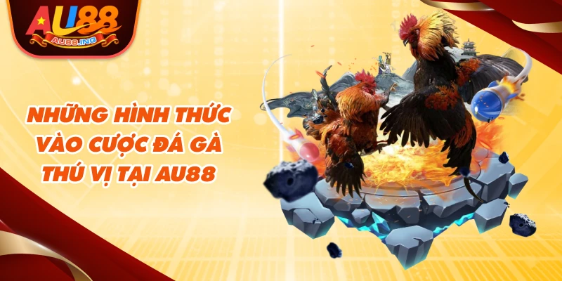 Những hình thức vào cược đá gà thú vị tại AU88